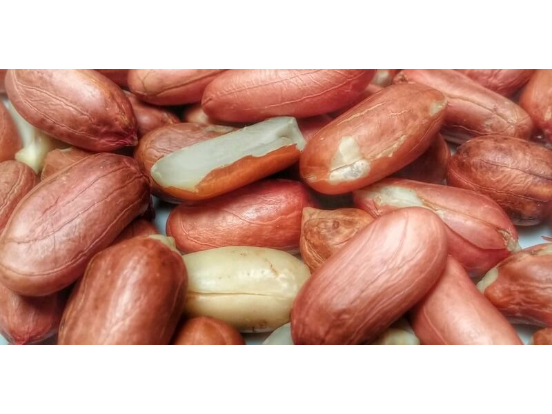 MANI CRUDO X 100 GRS.