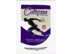 COLAGENO HIDROLIZADO X 100 GRS.