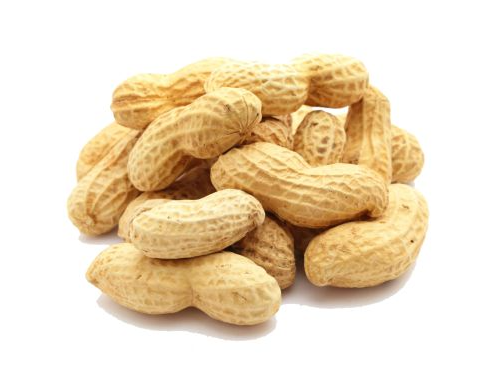 MANI TOSTADO CON CASCARA