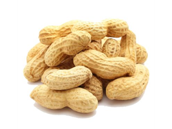 MANI TOSTADO CON CASCARA