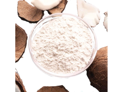 LECHE DE COCO EN POLVO X 100GRS