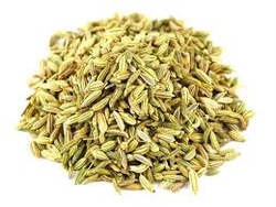 HINOJO SEMILLAS X 100GRS