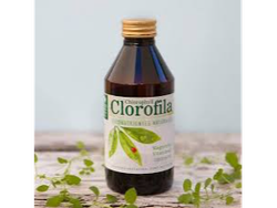 CLOROFILA BEBIBLE NATIER X 250 CC