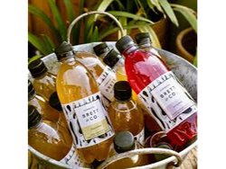 KOMBUCHA BRETT & CO X 500CC