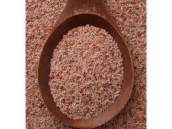 PSYLLIUM