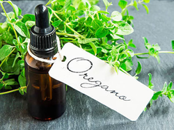 ACEITE DE OREGANO ORGÁNICO