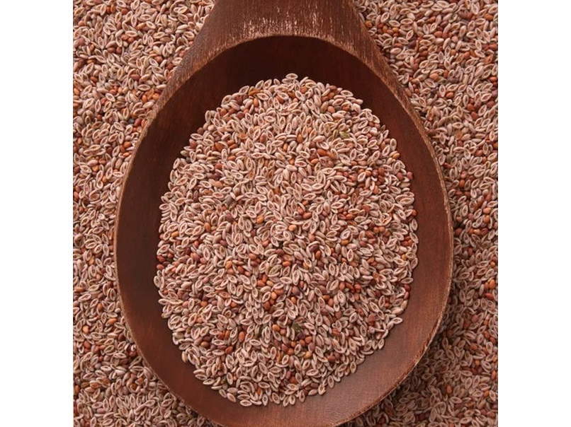 SEMILLA DE PSYLLIUM