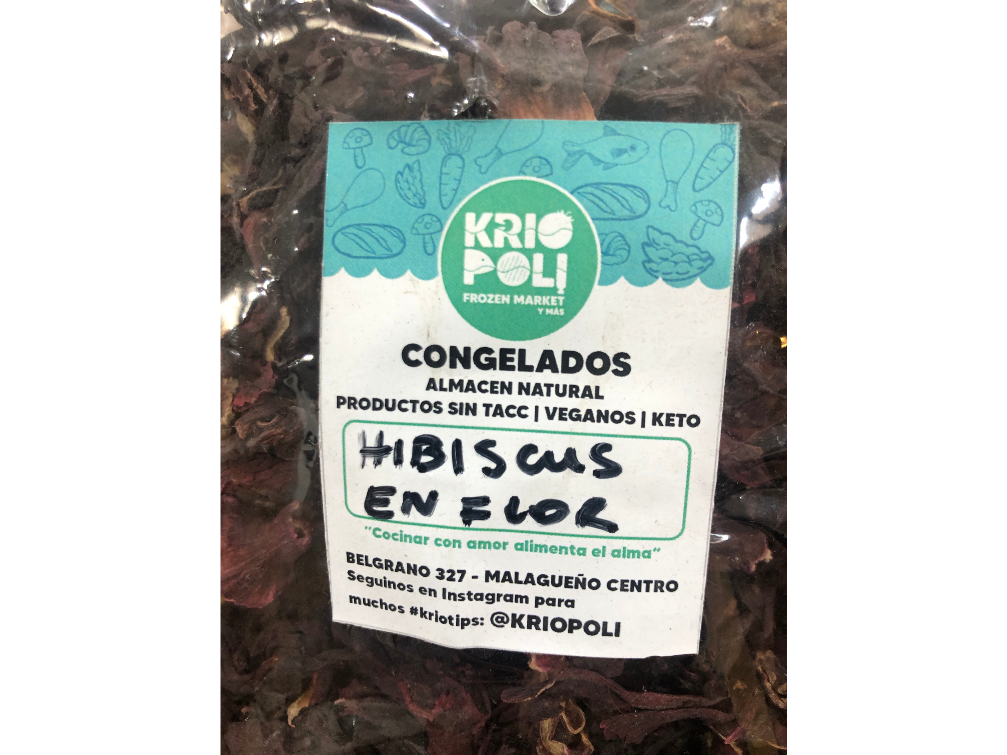 HIBISCUS EN FLOR