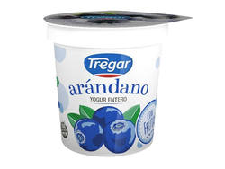 YOGURT TREGAR CON FRUTA ARANDANOS