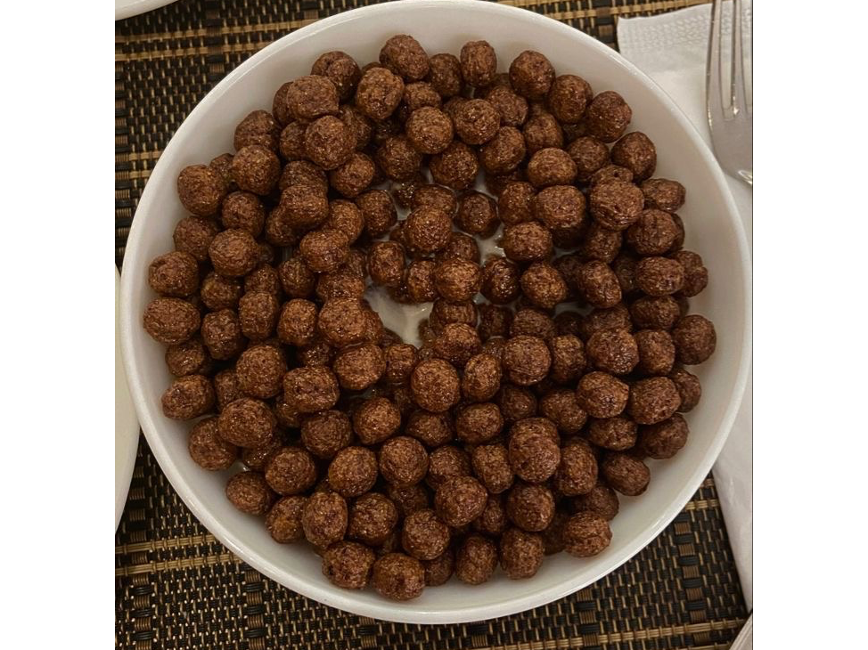 BOLITAS DE CHOCOLATE