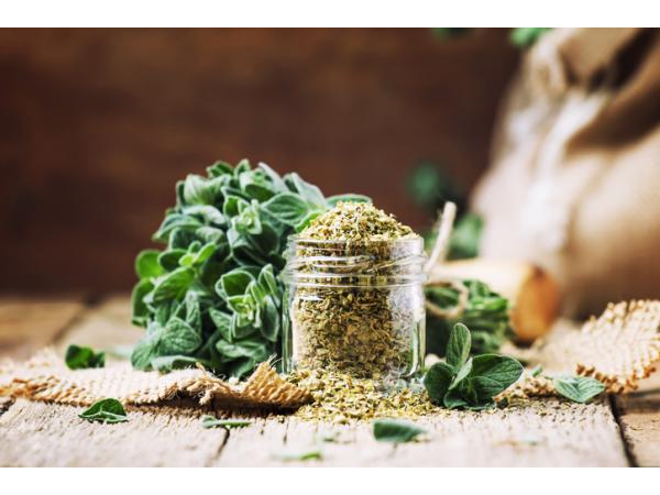OREGANO