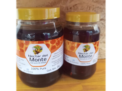 MIEL NÉCTAR DE MONTE