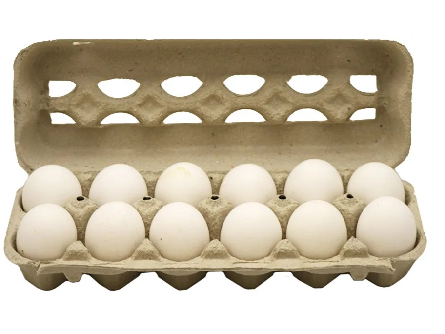 DOCENA DE HUEVOS BLANCOS