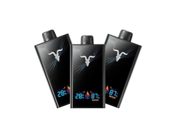 IGNITE V300
