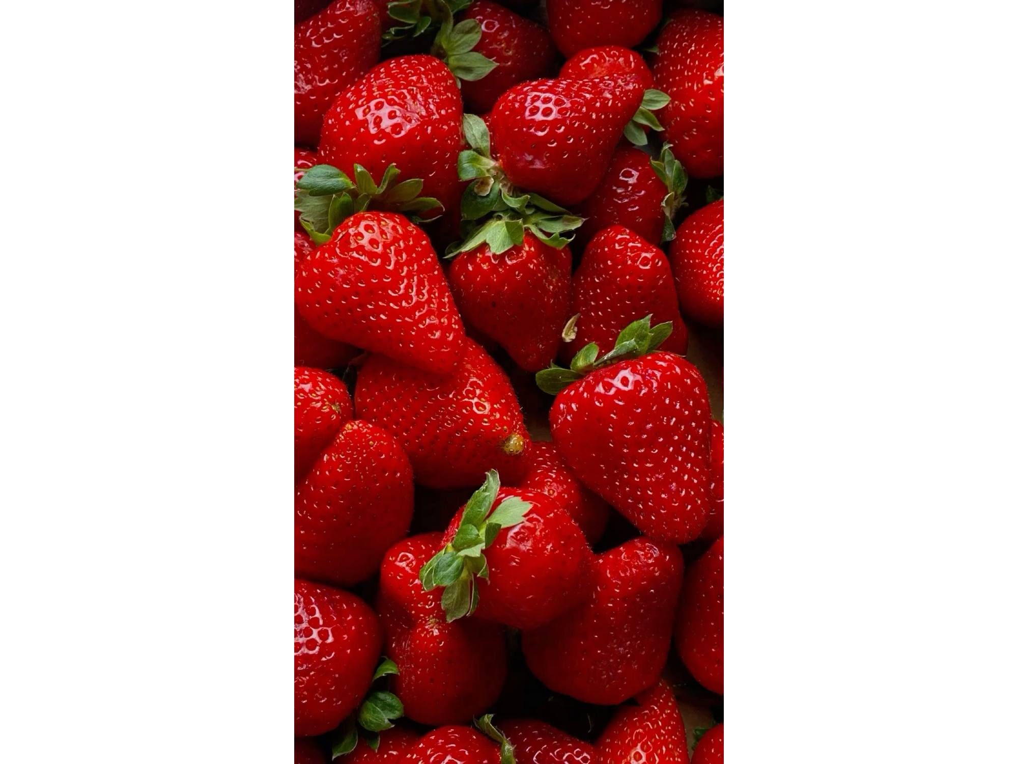 Frutilla