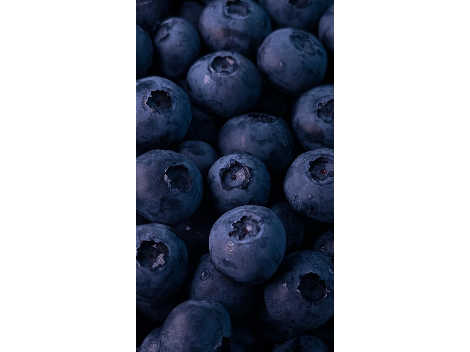 Arandanos