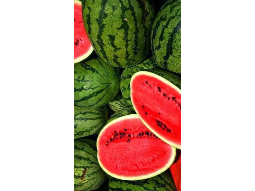 Sandia baby