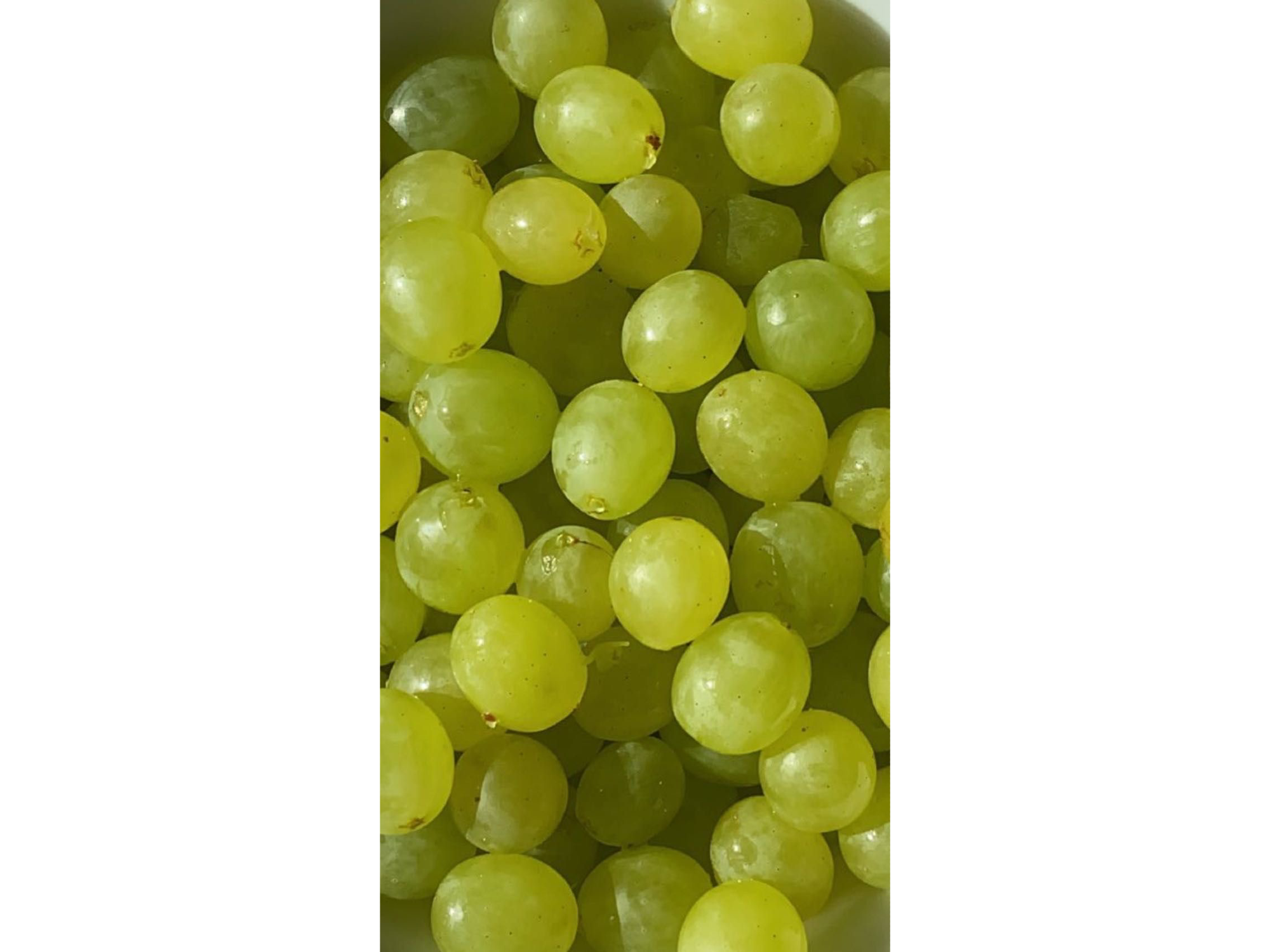 Uva verde