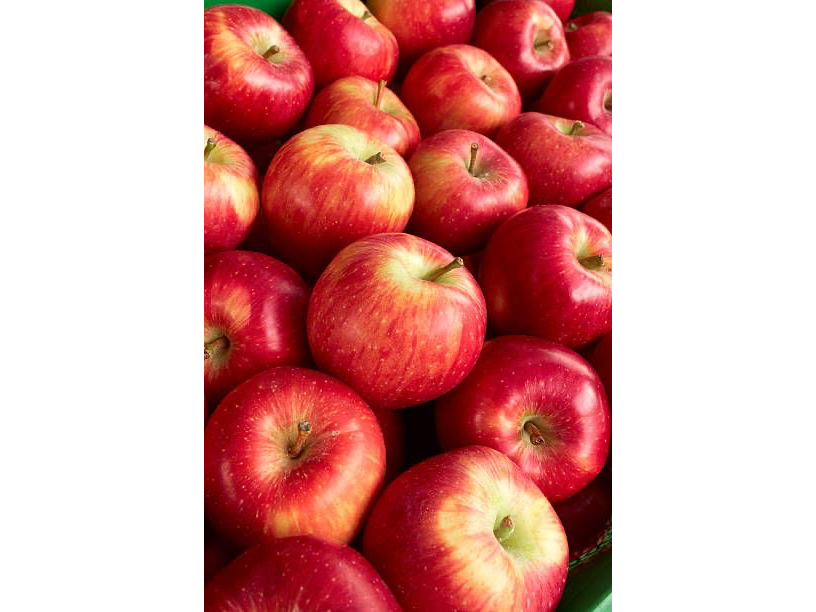 Manzana roja grande