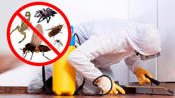 INSECTICIDAS