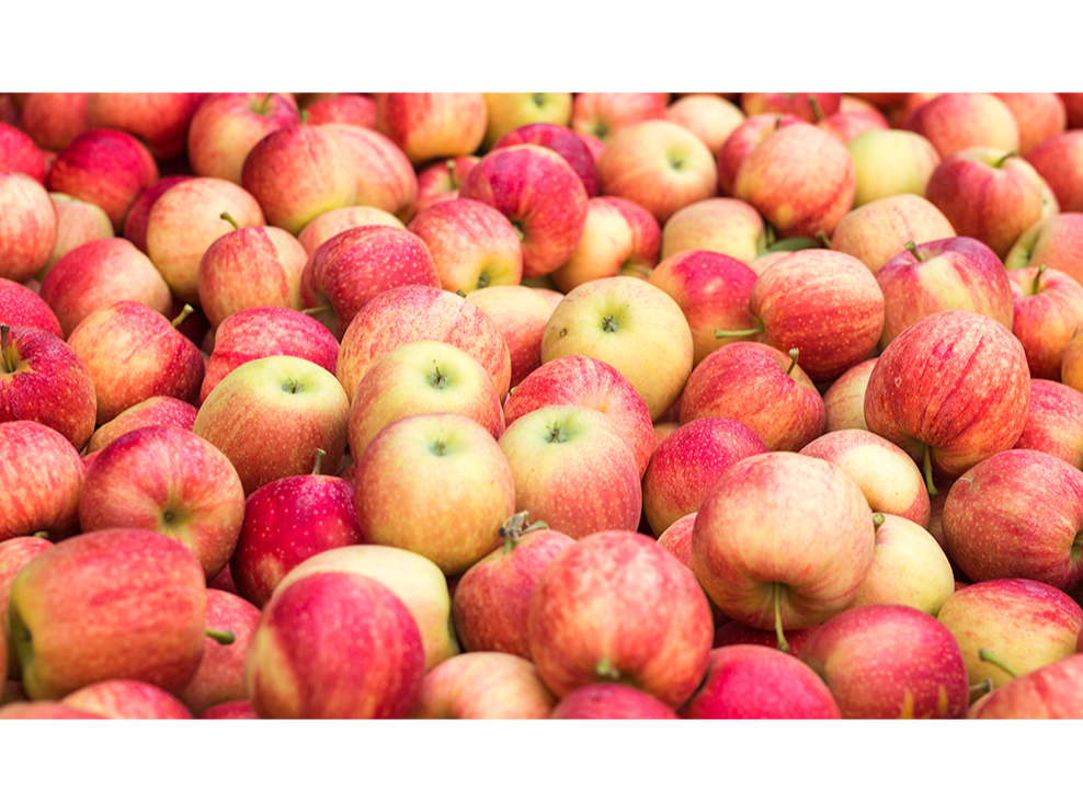 Manzana Roja