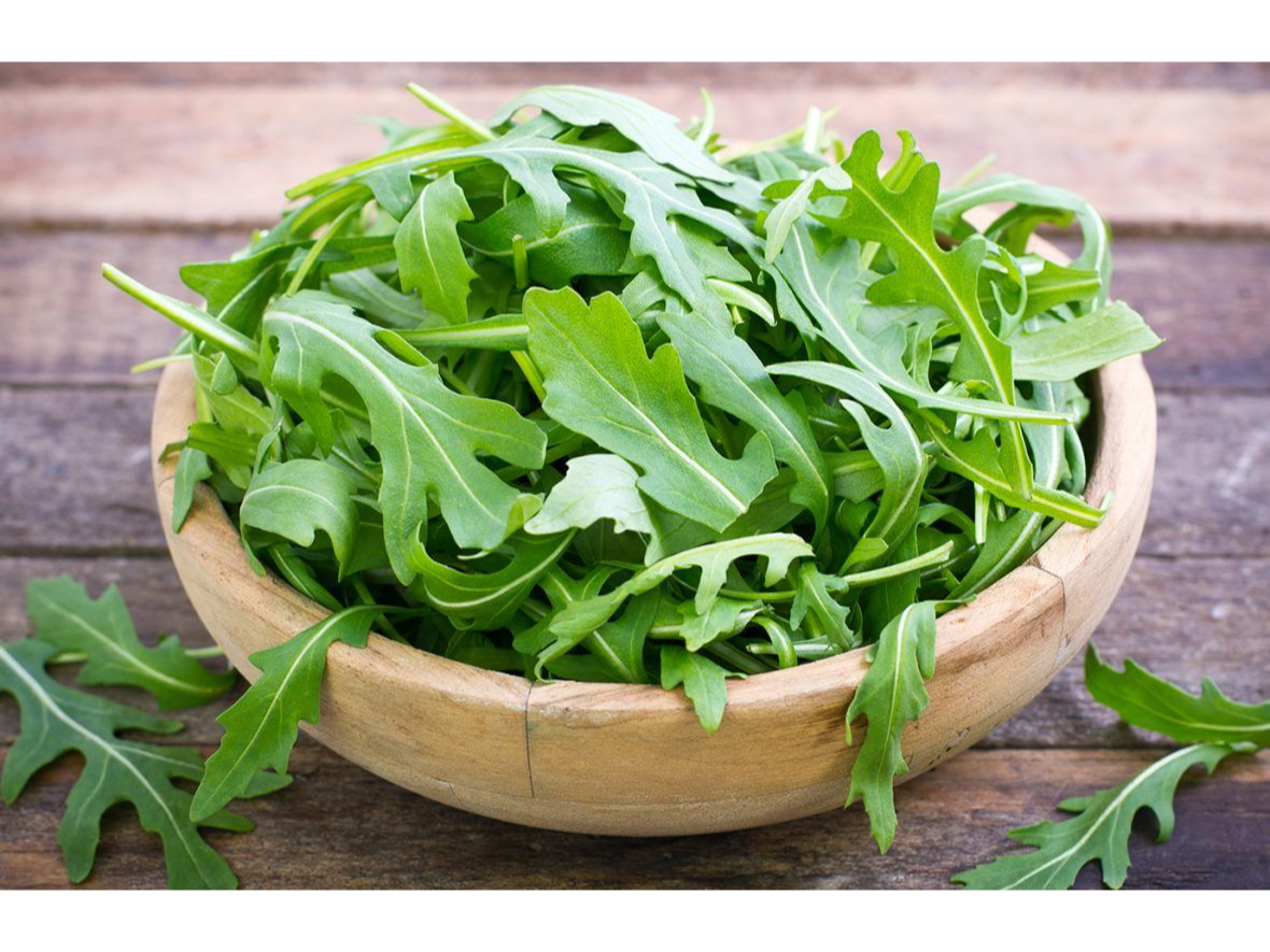 Rucula
