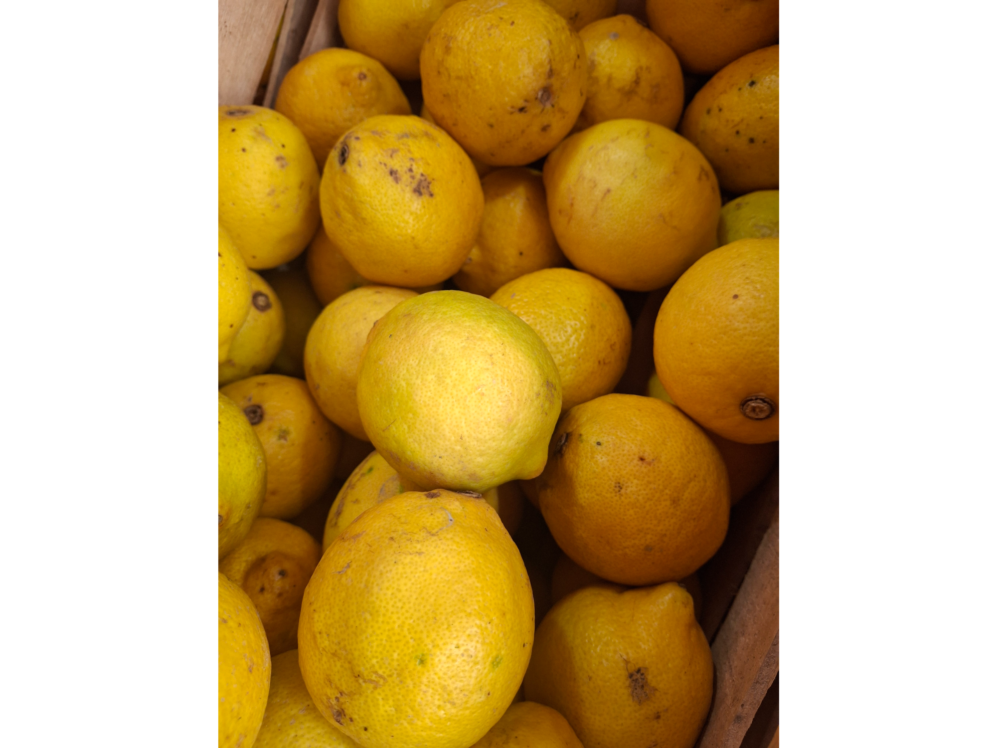 Limon