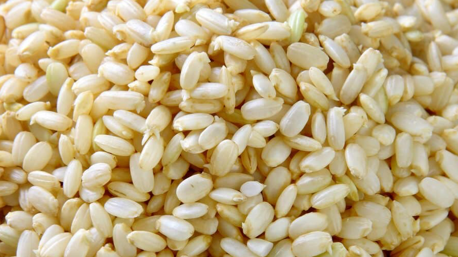ARROCES