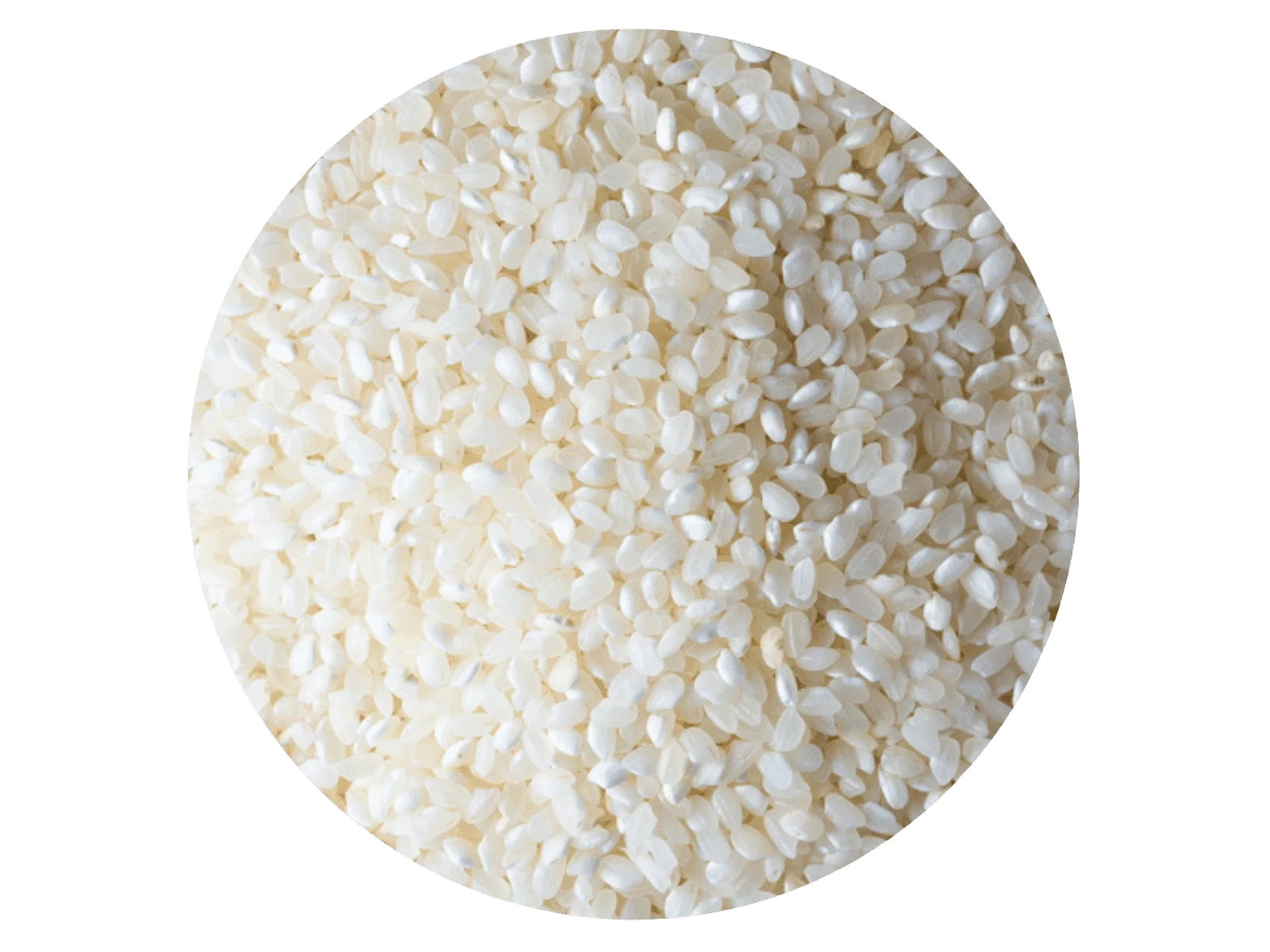 KOSHIHIKARI (SUSHI)