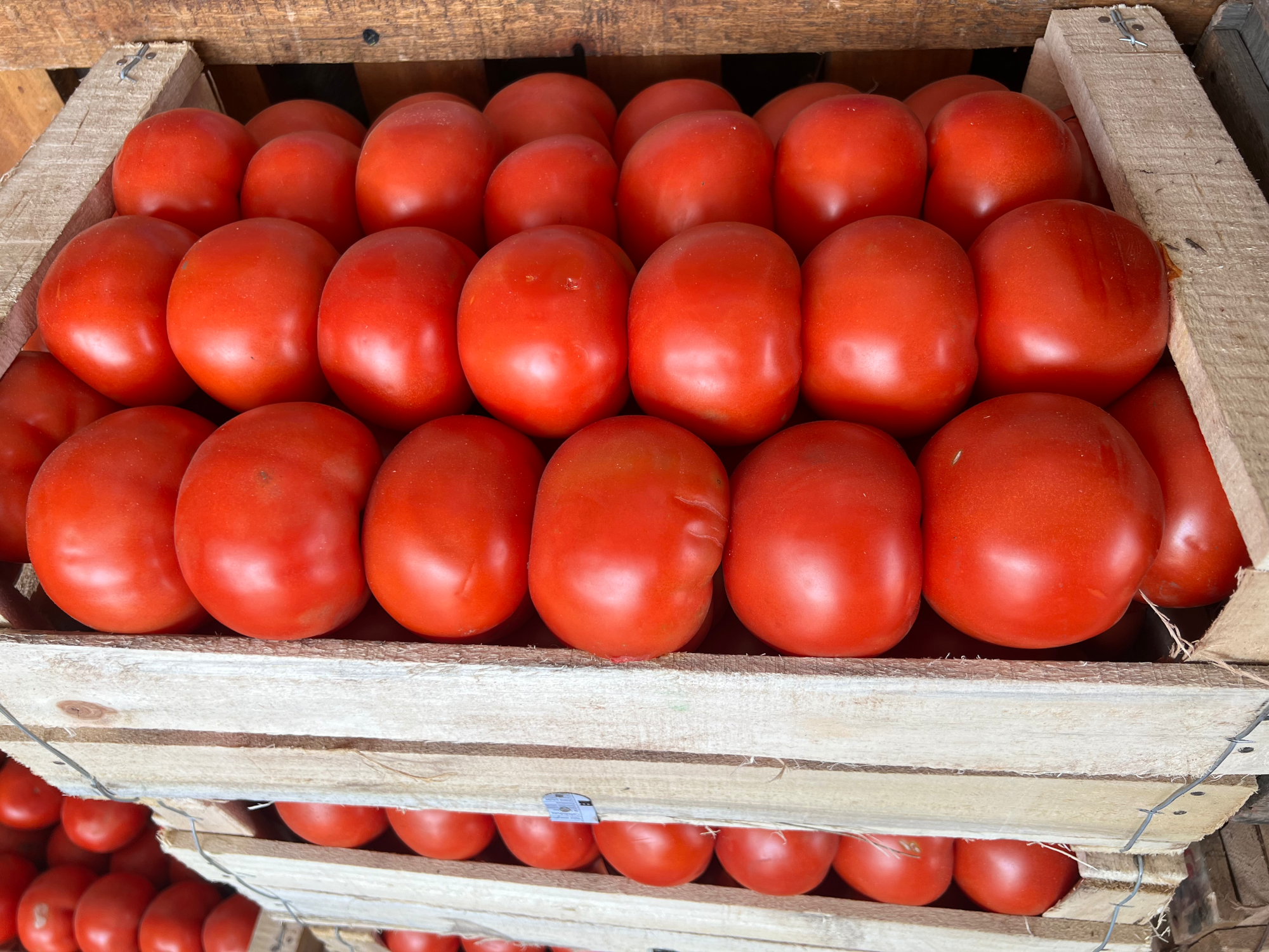 Cajon de tomate redondo