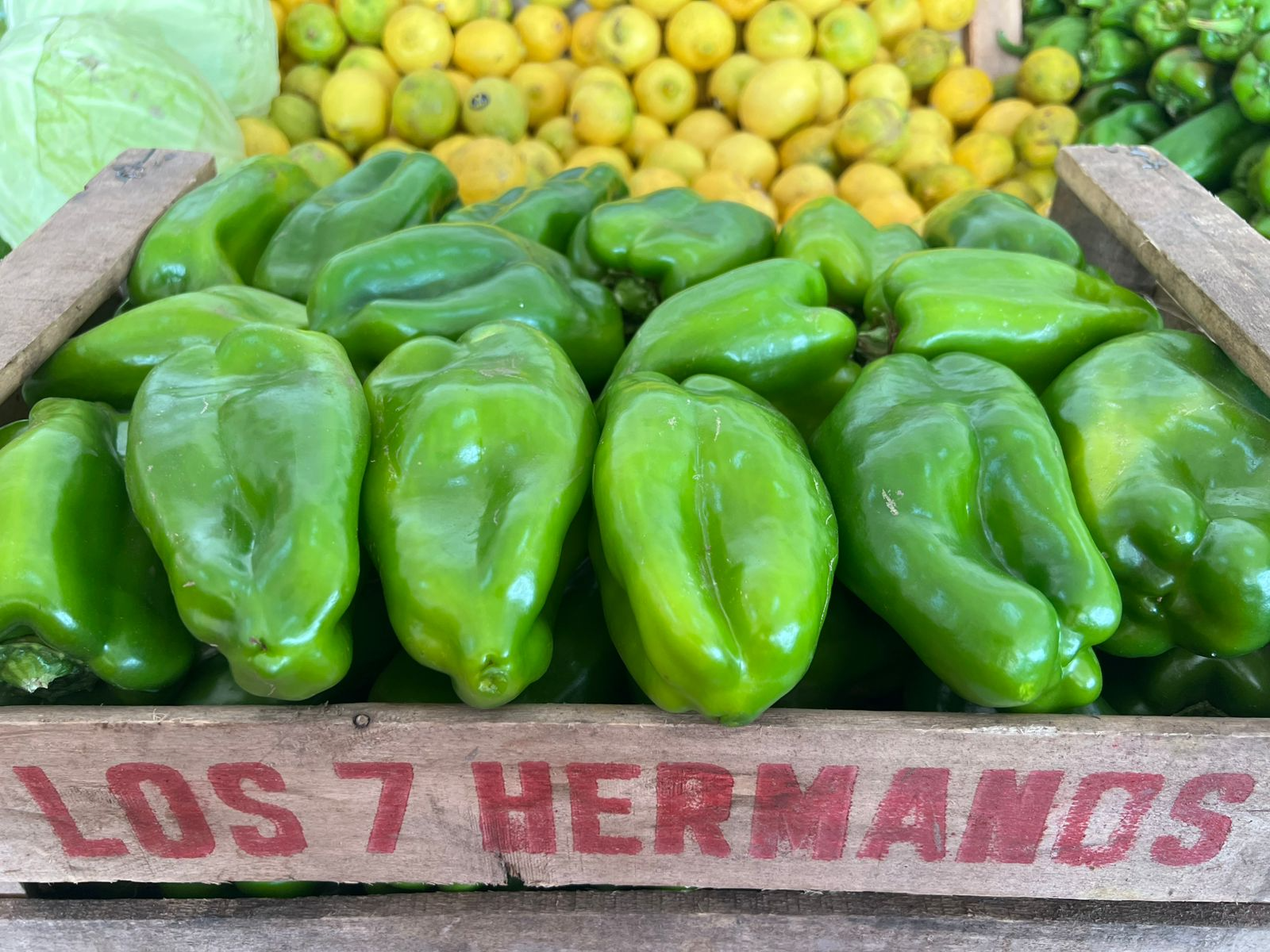 Cajon de morron verde
