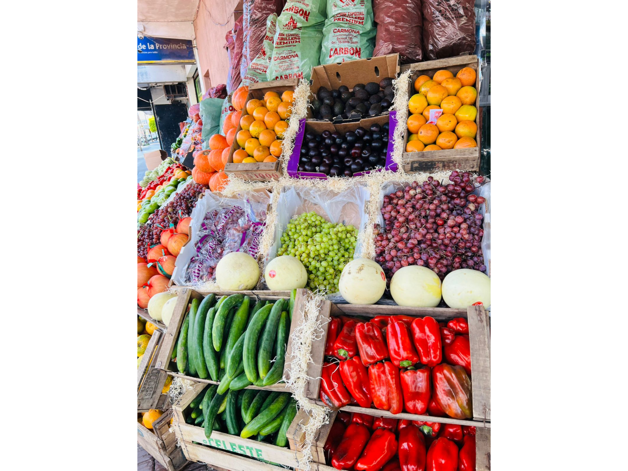 Pepino