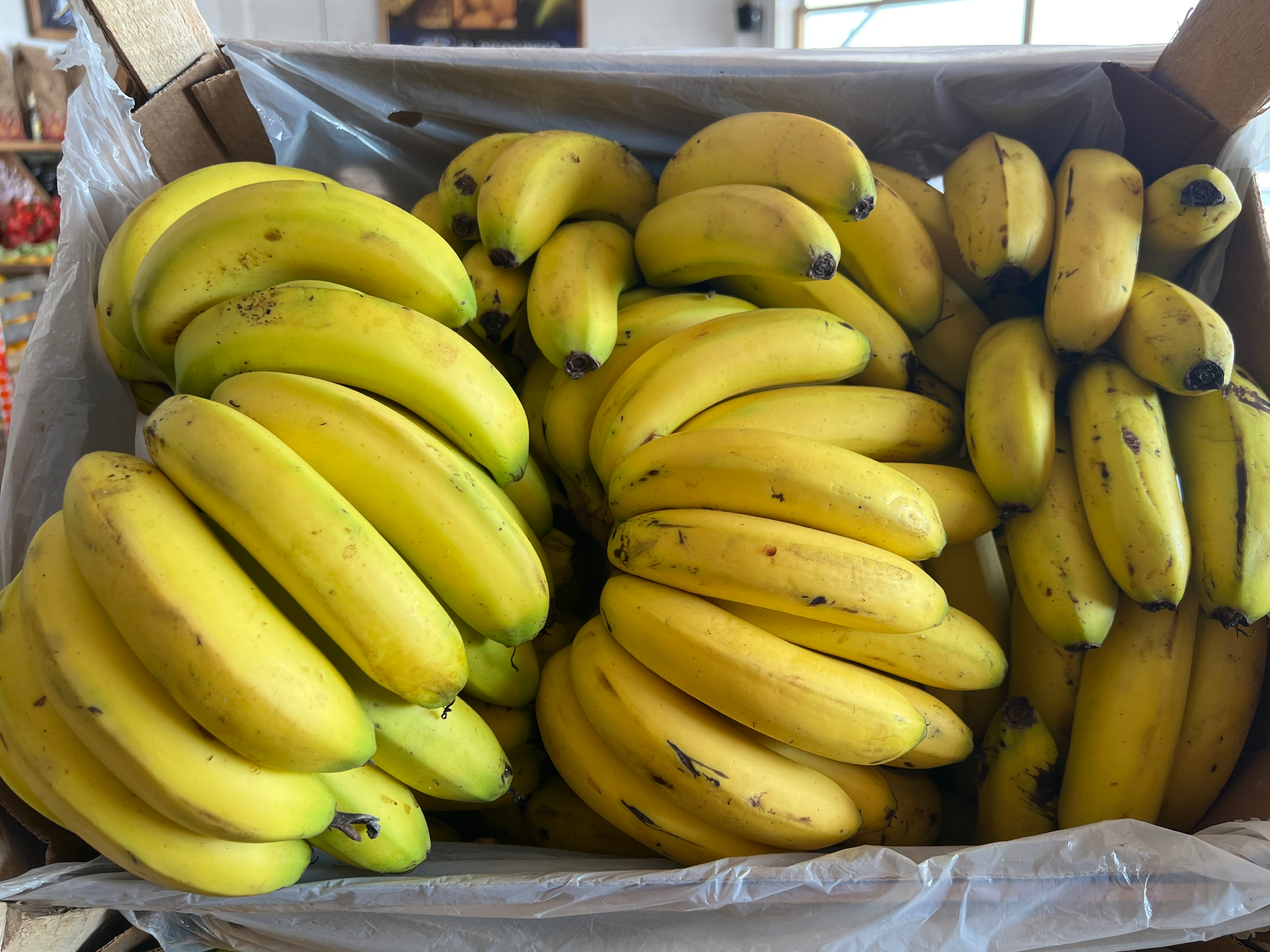 Cajón de banana paraguay