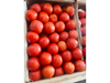 Tomate Redondo