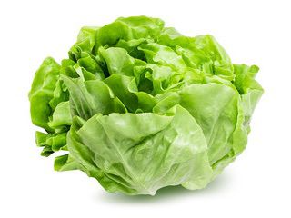Lechuga manteca