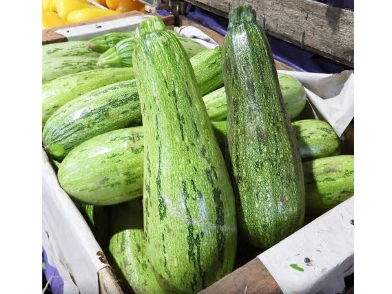 Zuchinni