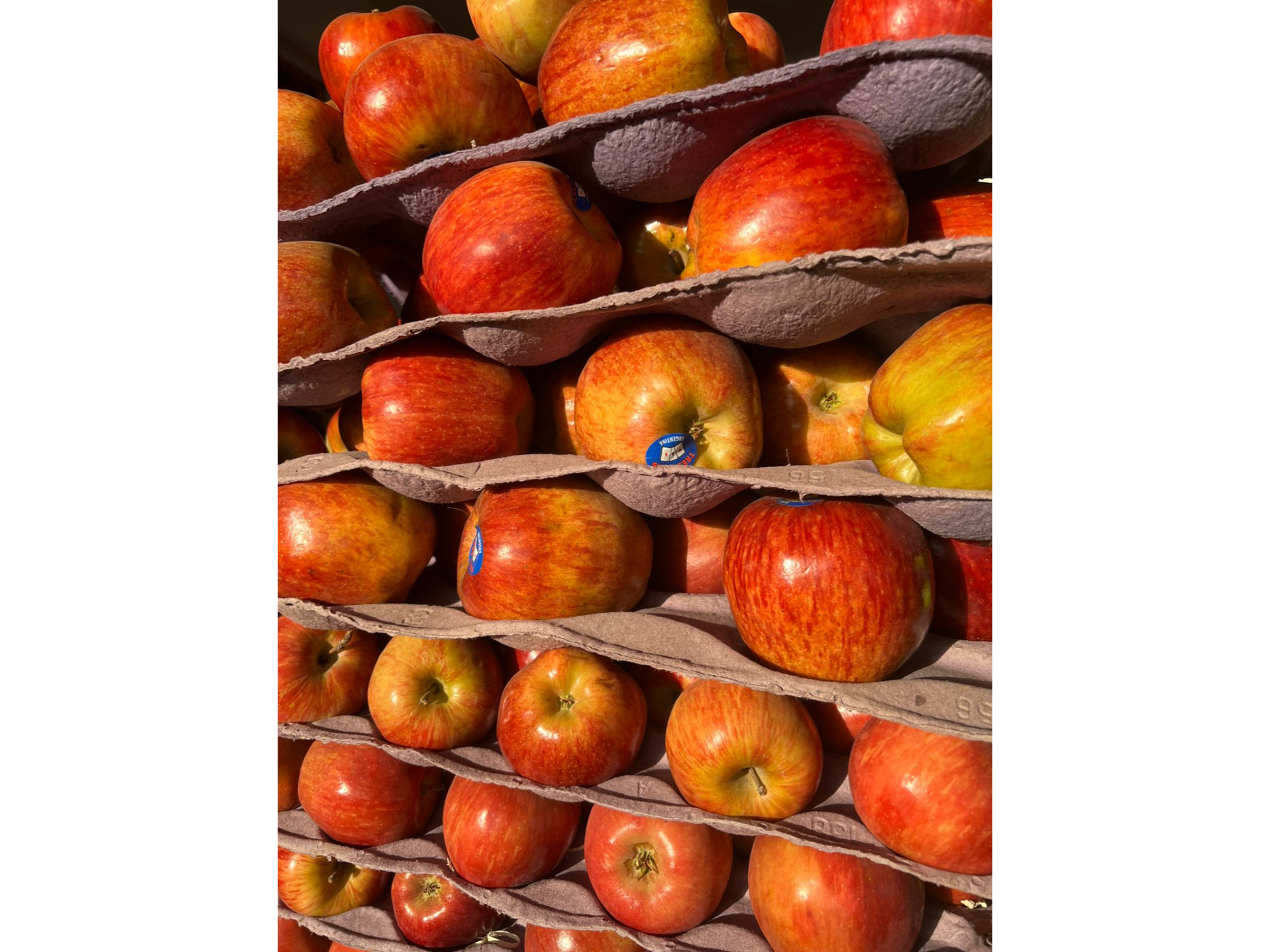 Cajon de manzana premium