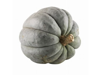 Zapallo Plomo