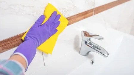 PRODUCTOS PARA BAÑOS Y SUPERFICIES