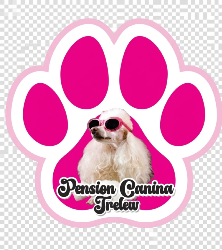 Logo Pension Canina