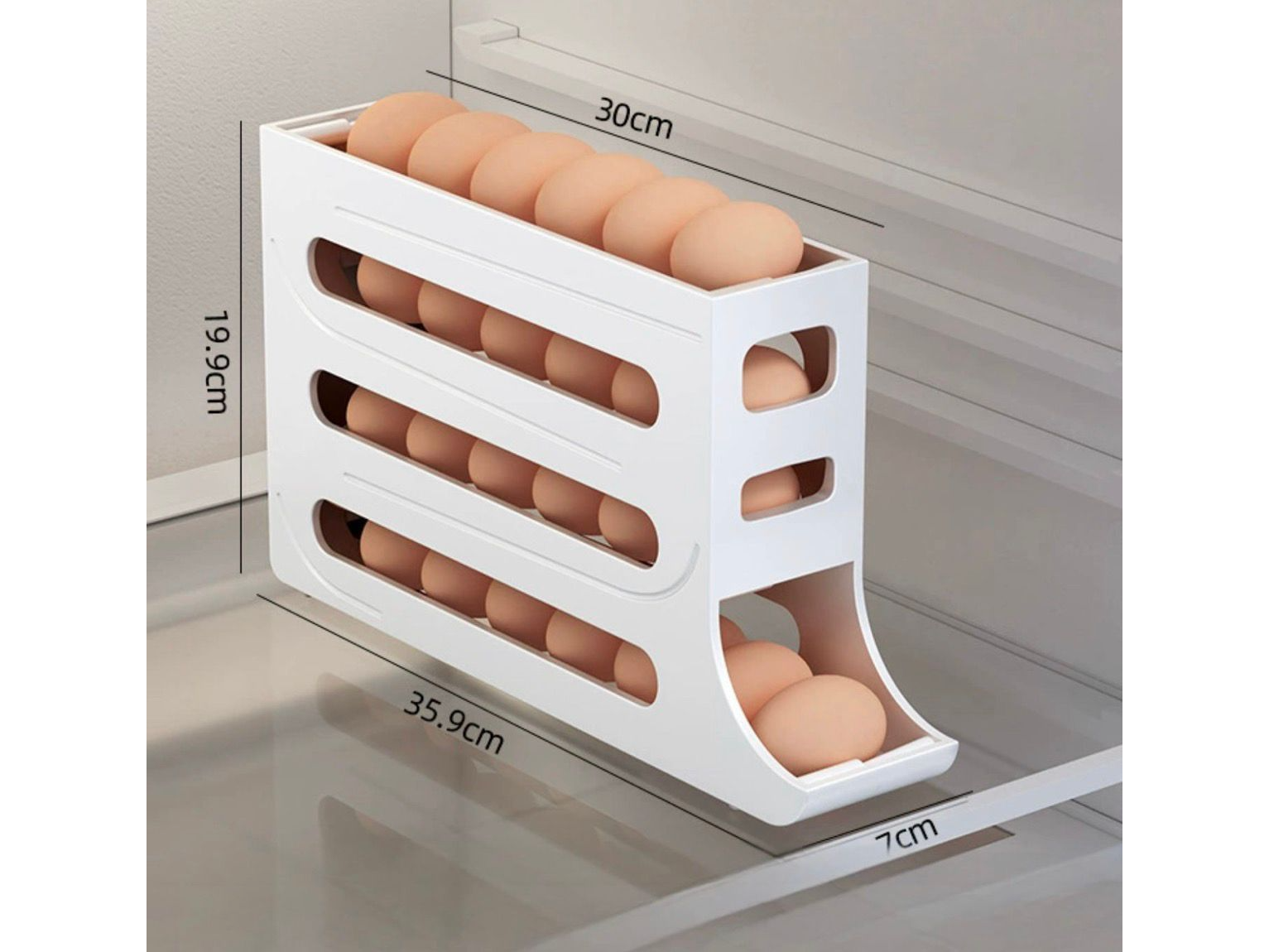 Organizador de Huevos