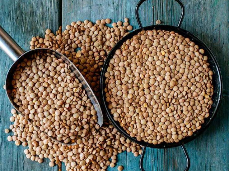 Lentejas de Mercado Sano Mayorista