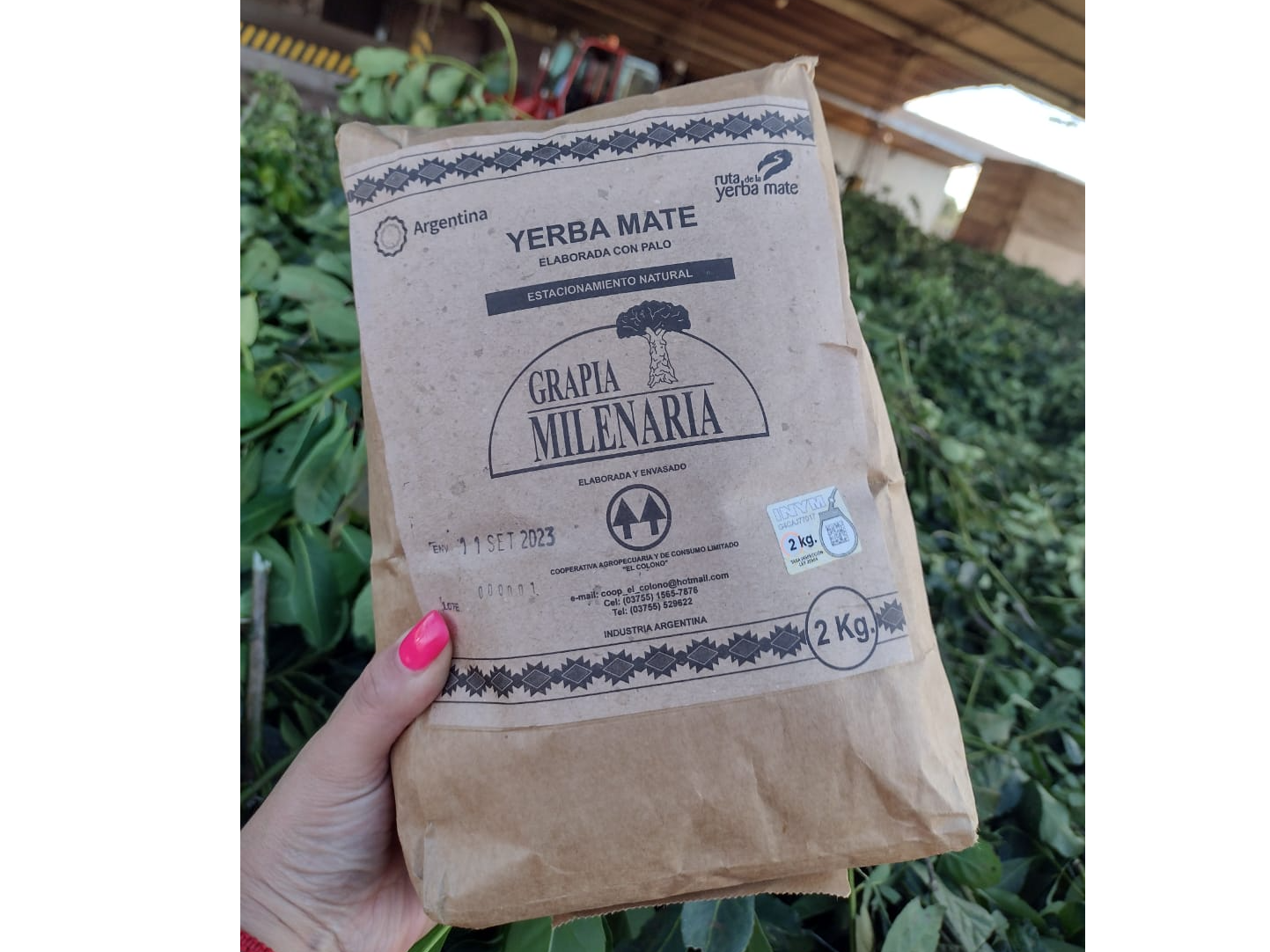 Yerba "Grapia Milenaria" x2 KG