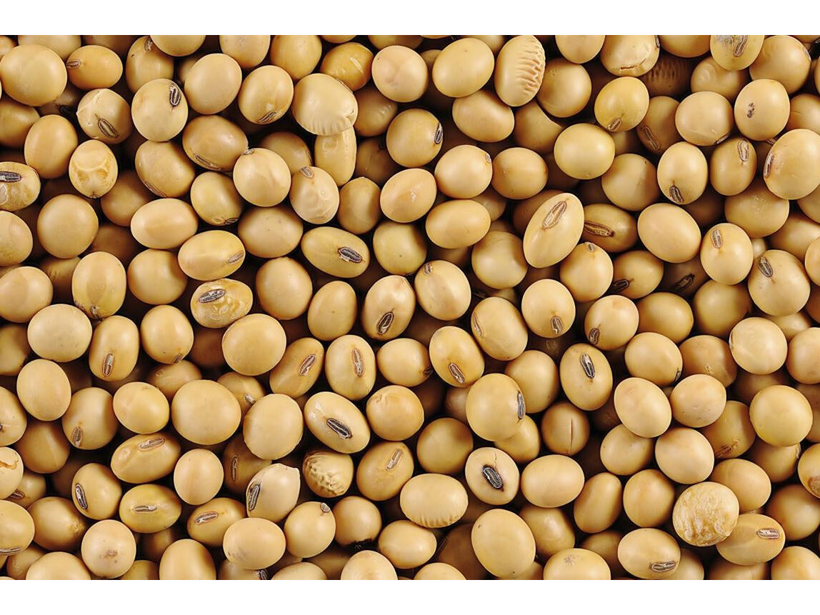 Poroto de soja x 5kg