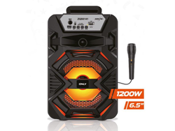 PARLANTE 6,5" CARNIVAL 1200w C/MICROFONO