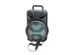 PARLANTE 8" C/MICROFONO