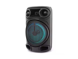 PARLANTE 8" 1810 C/MICROFONO