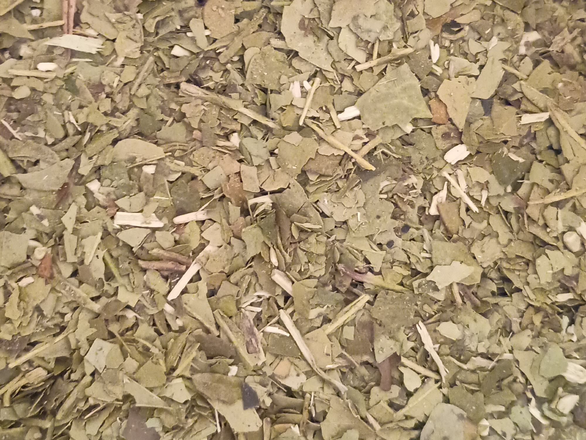 Hoja grande despalada 1k