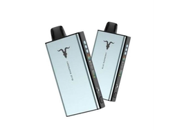 Ignite V400 Ice 40.000 Puff