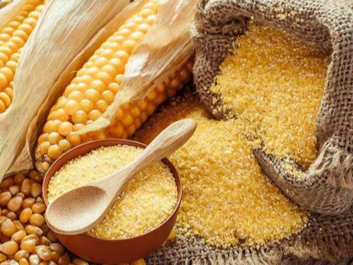 Harina de Maíz